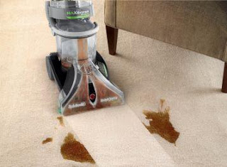 Carpet Cleaning Services TG6 Edmonton AB