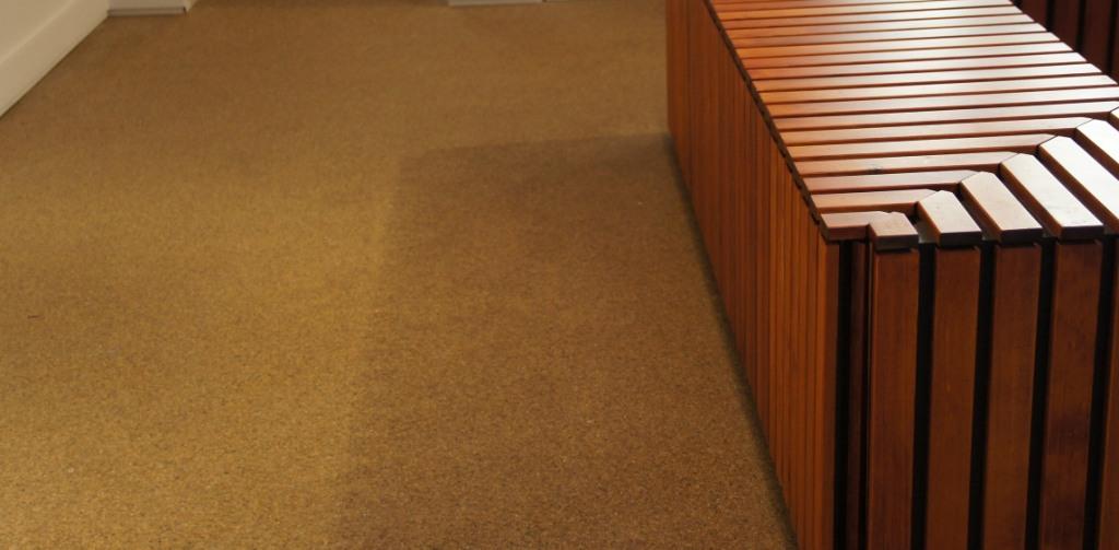 Carpet Cleaning Services Near Me T5M Edmonton