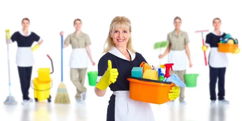 Professional Janitorial Services